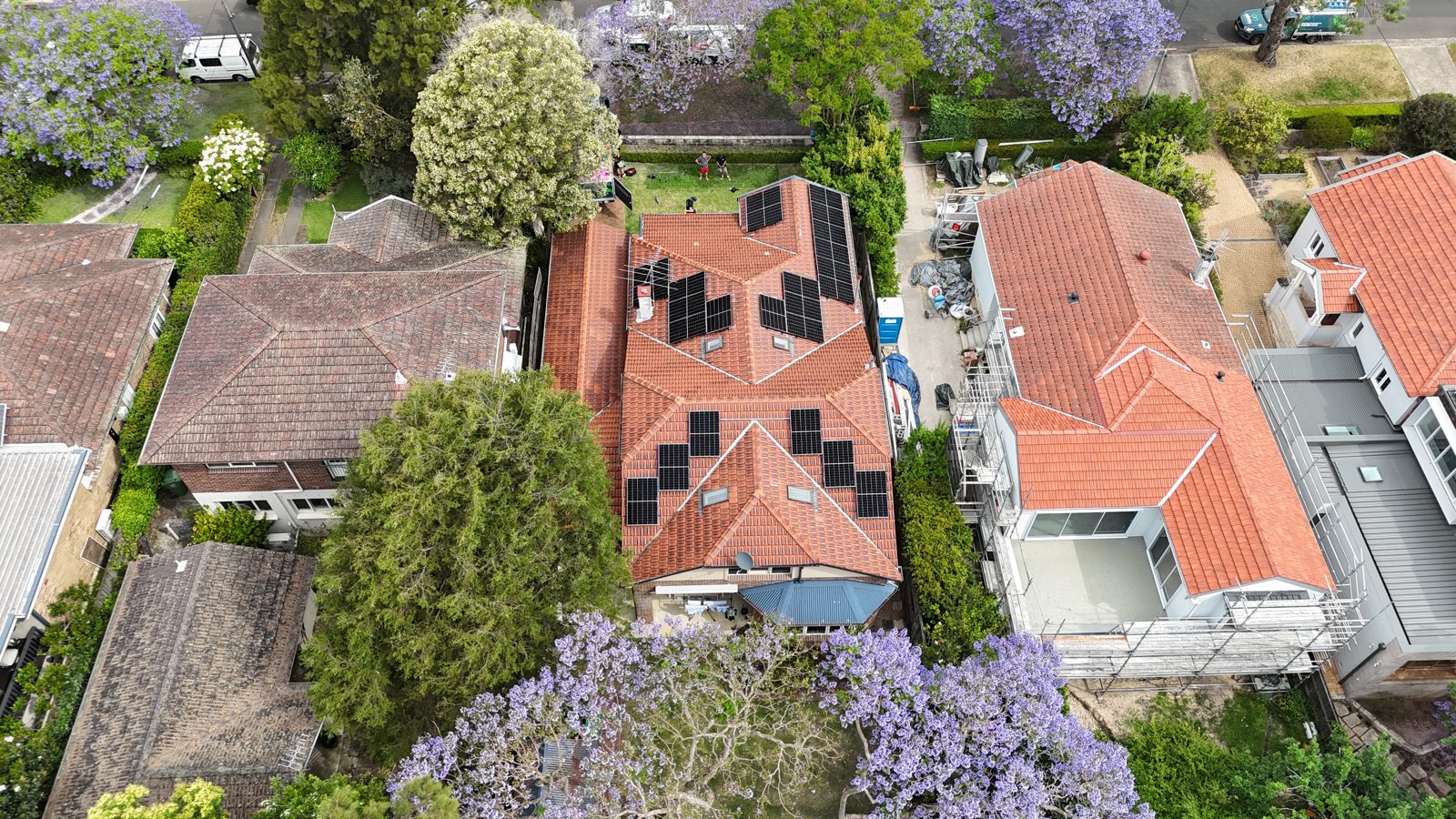 Aerial view of a jacaranda-lined street with solar-equipped rooftops